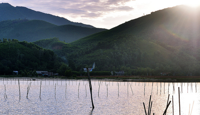 Featured image for GAA Joins #benefishal Campaign