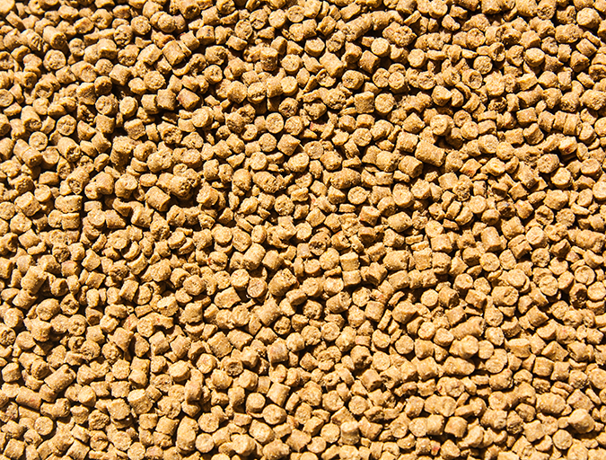 Featured image for GAA, IFFO Partner To Improve Responsible Fishmeal Supplies In Southeast Asia