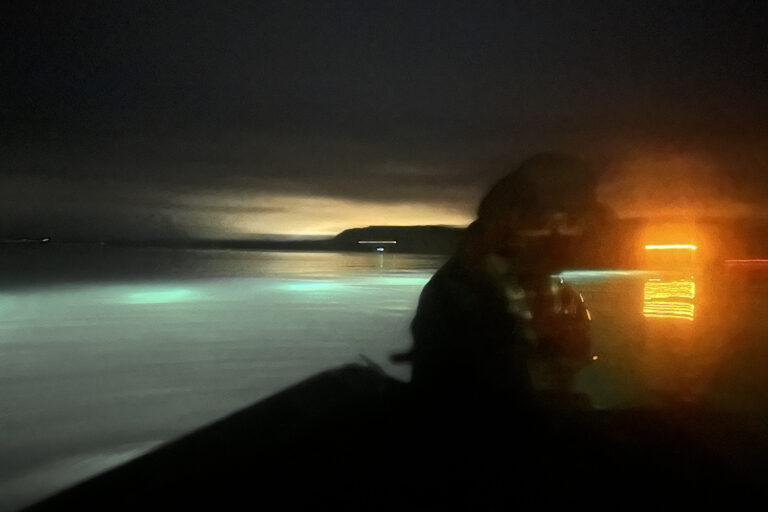 Article image for From apps to traps, these innovations offer hope in the battle against sea lice plaguing aquaculture industry