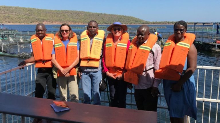 Featured image for Q&A with Karen Veverica of Auburn University