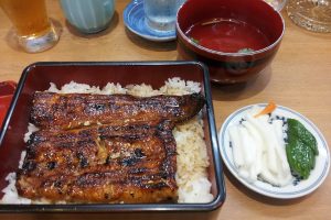 Unmasking unagi: What DNA testing reveals about American eel in Japan’s markets