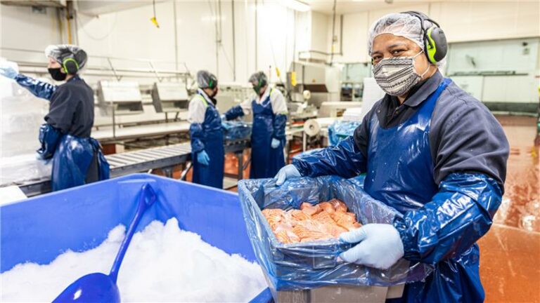 Featured image for From Our Expert Network: Evolving Human Rights Assurances in International Seafood Supply Chains