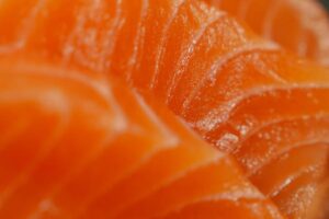 Can a bioengineered oilseed replace synthetic pigments in farmed salmon and shrimp?
