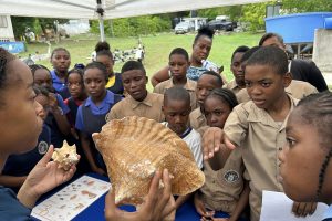 Responsible Seafood Innovation Award finalist: How FAU’s mobile hatcheries could save the Caribbean queen conch – one trailer at a time