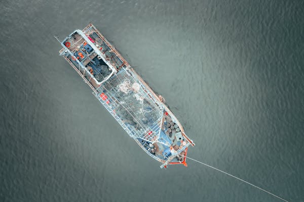 Article image for ‘A wake-up call’: Nearly half of key fisheries for marine ingredients now poorly managed, SFP report warns