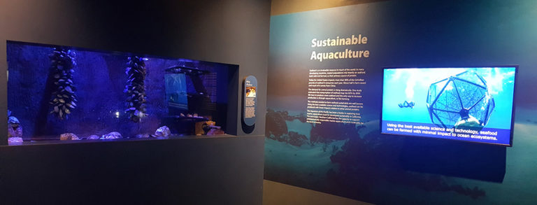 Featured image for Kimberly Thompson and Jerry R. Schubel and the Most Asked Aquaculture Question