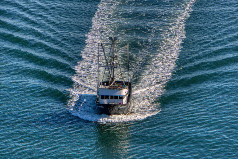 Article image for Climate change will increase labor risks in fisheries, study warns