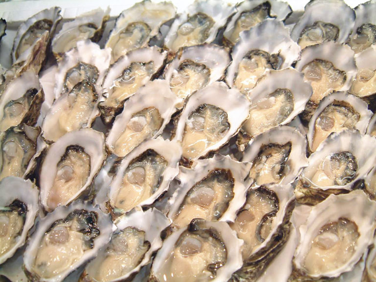 Article image for Damaging MSX parasite detected in P.E.I., threatening oyster growers