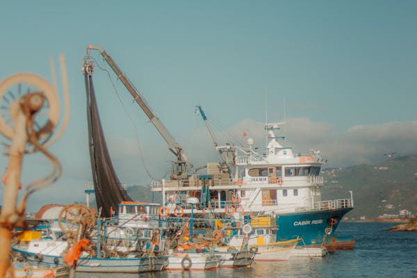 Article image for MarinTrust streamlines certification by recognizing GSSI-certified fisheries
