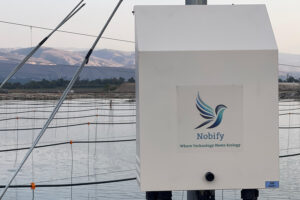 ‘Balancing the conflict’: How Nobify’s AI-powered bird deterrent tech can protect fish farms