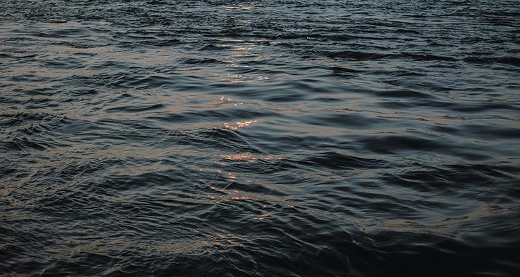 Image for article: The ocean is getting darker. What could that mean for global fisheries?