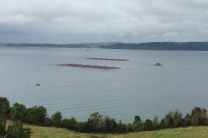 Thinking outside the pen: Enhancing the value of your seafood business through a new lens