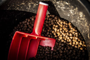 Fishmeal and fish oil alternatives are here but a greater scale is needed for true impact