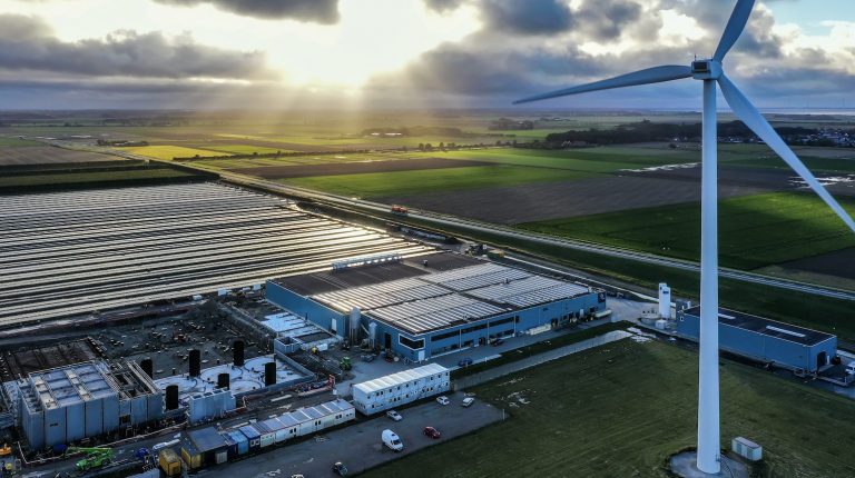 Featured image for Kingfish Zeeland First in Europe to Complete Pilot of Raised Without Antibiotics Standard