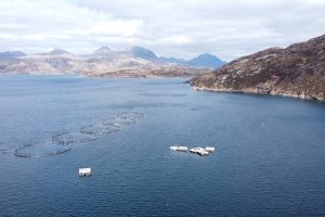 F3 launches global challenge to drive alternative aquaculture feed innovation