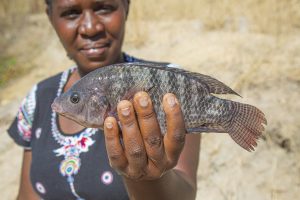 Closing the gender gap: How new initiatives are transforming traditional roles in fisheries and aquaculture