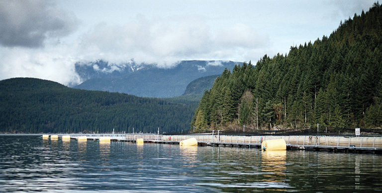 Featured image for GAA and World Aquaculture Society Announce Strategic Partnership