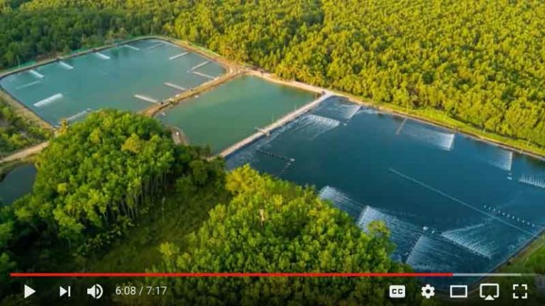 Featured image for Where Does My Seafood Come From?