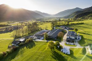 European indoor shrimp farming – investment vacuum or viable, high-end enterprise?