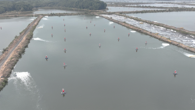 Article image for Estudio utiliza monitoreo acústico pasivo para cuantificar los efectos de la temperatura, el amoníaco y el nitrógeno nitrito en la alimentación del camarón blanco del Pacífico