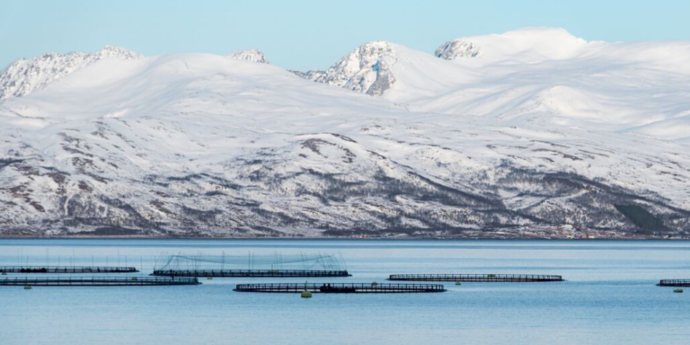 Featured image for Where Does Farmed Seafood Come From?