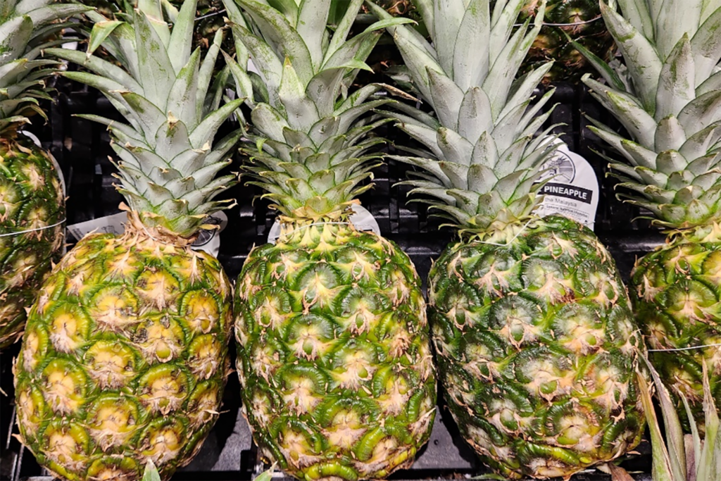 Article image for Los fitoquímicos de la bromelina pueden mejorar el crecimiento y brindar protección a largo plazo a los camarones contra la AHPND